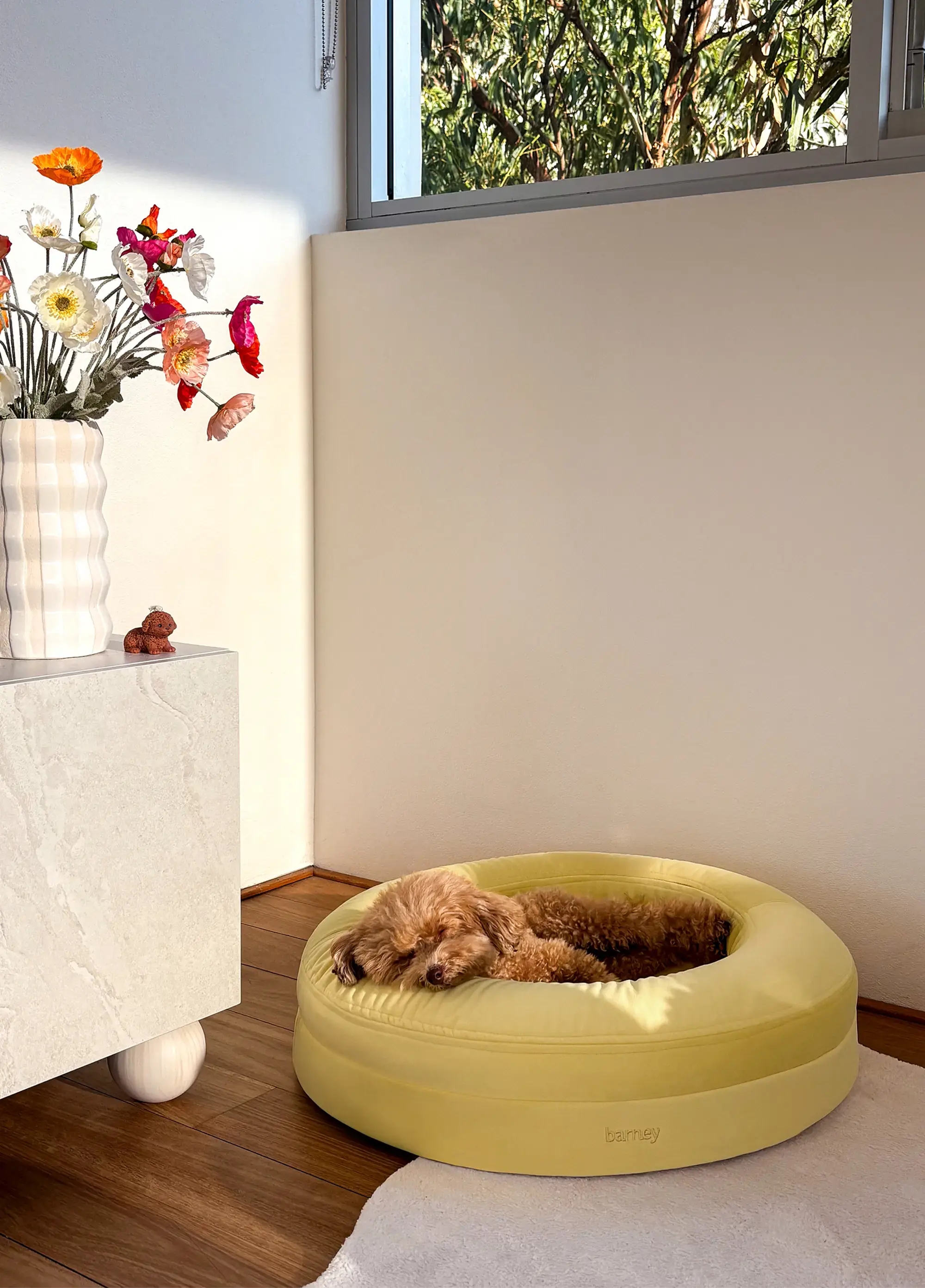 Luxury pet accessories