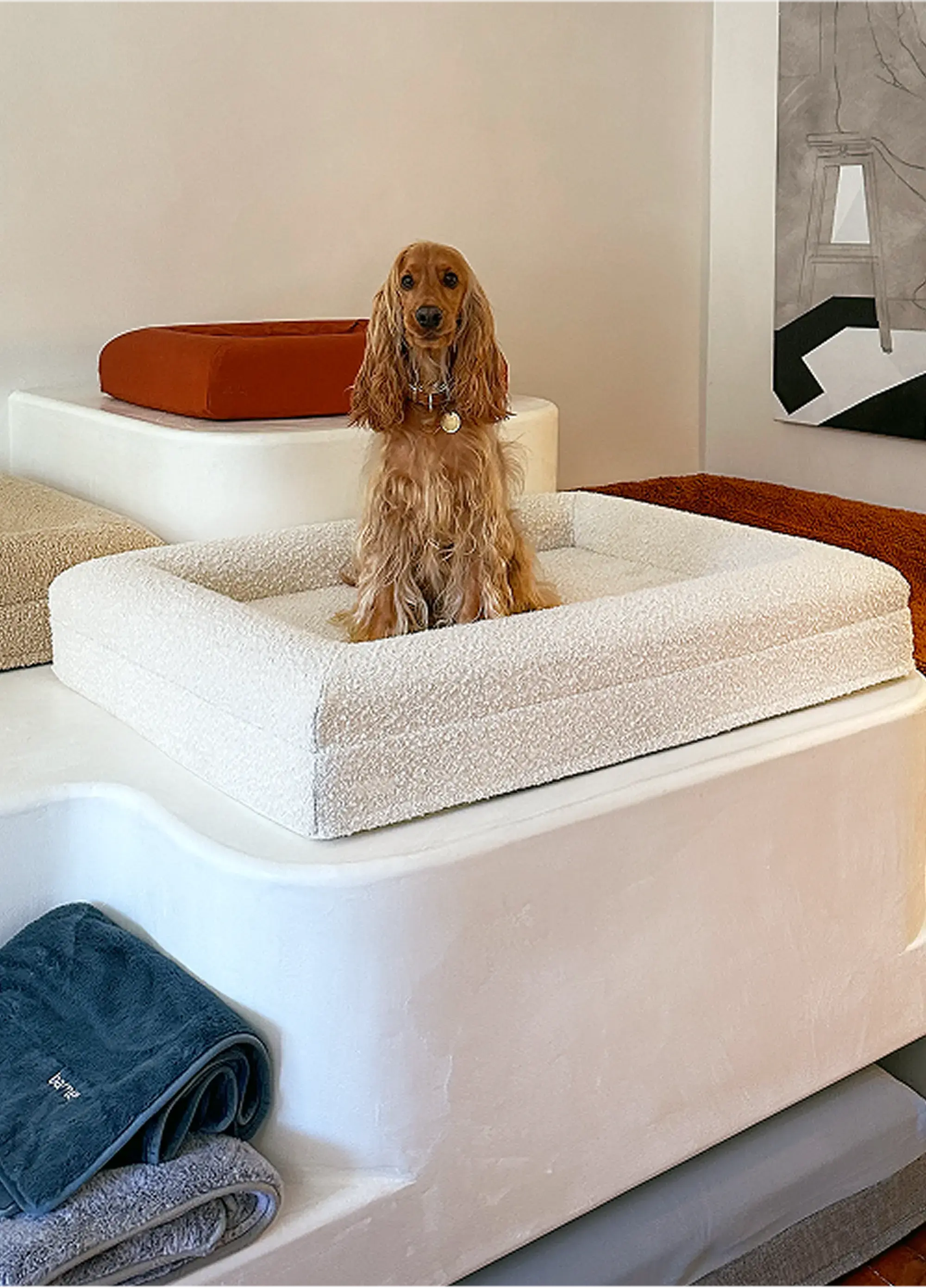 Velvet pet bed
